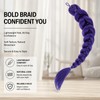 Purple Hair Extension Set - Purple Ponytail Extension - Mesh