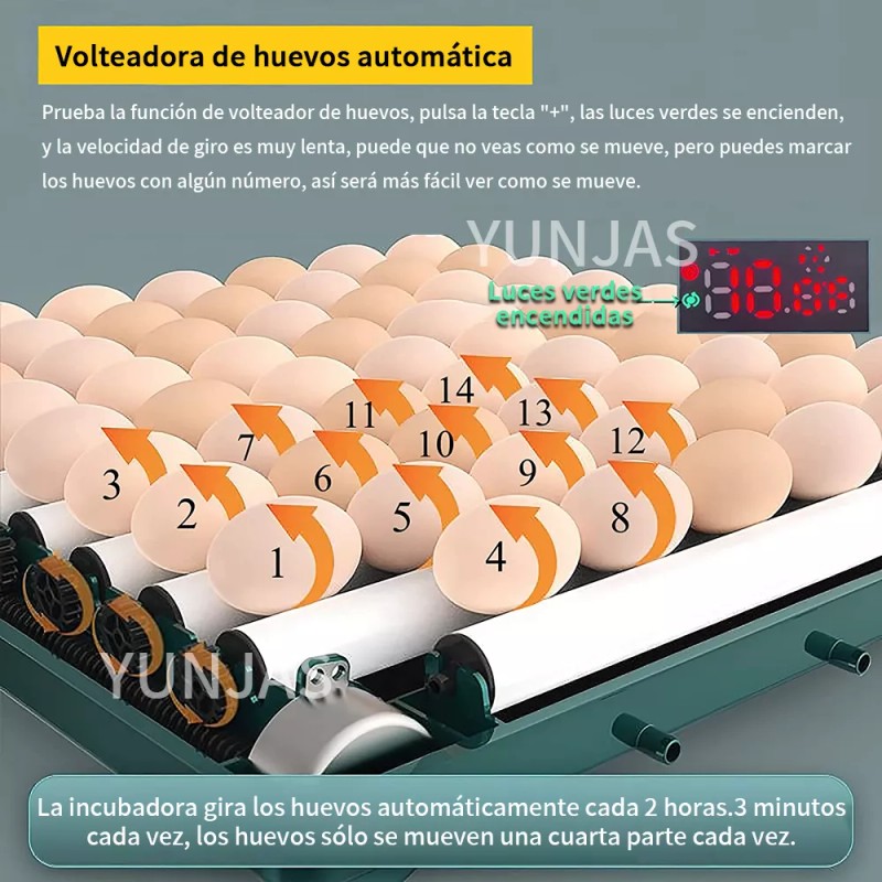 YUNJAS Incubadora para huevos YUNJAS L64 16.3m x 48.5m x