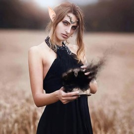 LINSINA Elf Ears with Dragon Headpiece Headband, Renaissance Headpiece Costume Accessories with 2 Pairs Elf Ears for Women Girls (dragon)