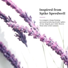 KOL 5ft Artificial Veronica Spiked Speedwell Grass, 59in Faux Veronica Spicata Plant, Tall Horsetail Reed Grass, UV-Resistant Fake Grasses for Indoor/Outdoor Décor, Home Office Wedding Centerpiece