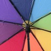 Parquet Auto Open Telescopic Compact Umbrella (Rainbow)