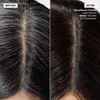 L'Oréal Technique Excellence Crème Permanent Hair Color - Long-Lasting Hair