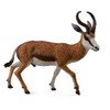 CollectA Springbok