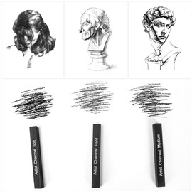 STAPENS Compressed Charcoal Sticks, Charcoal Pencils for Drawing, 12 Pack Art Supplies Sketch Kits, Soft, Medium, Hard