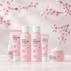 Set Skincare Japan Sakura Piel Radiante Y Joven Nuevo