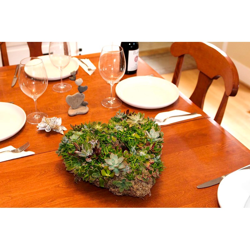 SuperMoss (22361) Living Wreath for Indoor and Outdoor Decor –