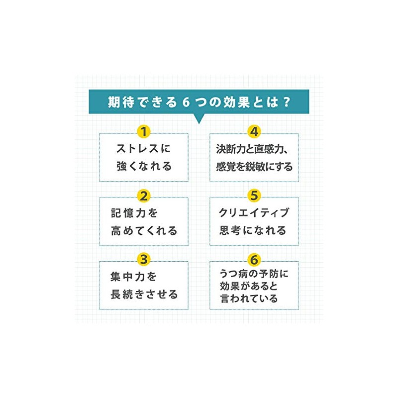 マインドフルネス~ストレス低減・大人の脳活性