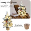 24 Inch 2 FT Pre-lit Snowy Mini Christmas Tree, Brelixo