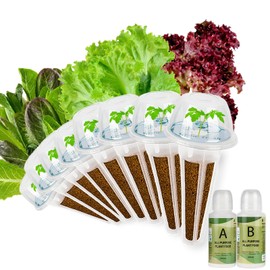 Herblink Lettuce Seed pod Kit for AeroGarden, Includes Iceberg Lettuce/Mixed Greens/Romaine Seed - Hydroponics Supplies for Most Brands 8-POD