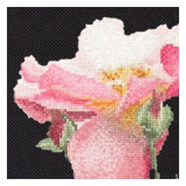 Thea Gouverneur On Aida Counted Cross Stich Kit 17.5"X17.5"-Rosa Leersum (18 Count)