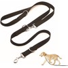 Dog Lead in Black, Stable and Adjustable, Dog Lead, Dog