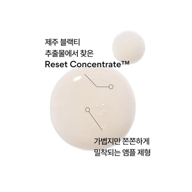 Innisfree 이니스프리 블랙티 유스 인핸싱 앰플 30mL Innisfree Black Tea