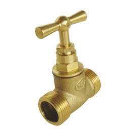 SOMATHERM FOR YOU - Twin Screw Interception Male MM15 / 21 - Head Stem - in Raw Brass