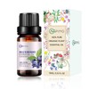 AOPING Blueberry Essential Oil - 100% Pure Organic Natural Plant
