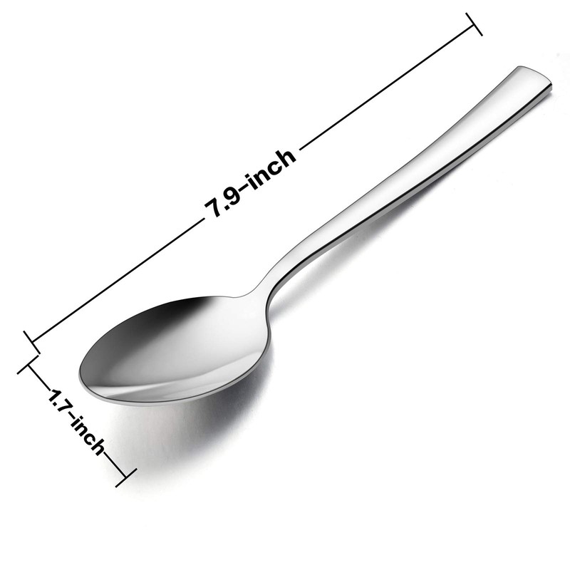 E-far Dinner Spoons Set of 6, 7.9 Inch Stainless Steel