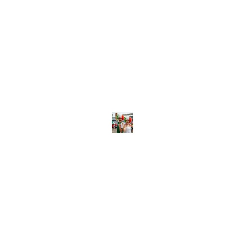 Pack 2 Pelucas Afro Tricolor | Ideal Para Carnaval Y