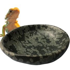 XIOFU Natural River Stone Reptile Food Bowl - Handmade Pebble Dish for Reptiles, Amphibians, Hedgehogs, and Small Pets - Unique Size, Shape & Color - Water & Food Bowl (Green)