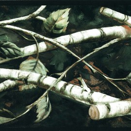 CONCORD WALLCOVERINGS ™ Wallpaper Border Country Pattern Sticks Leaves Forrest for Hunting Shack Farm Cottage, Black Green Brown White, 15 Feet by 7 Inches NM6671B