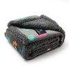 Waterproof Pet Blanket, Liquid Pee Proof Dog Blanket for Sofa