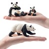 Toymany 6PCS Panda Figurines Toy Set, Realistic Plastic Jungle Animals