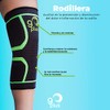 Rodillera M Go Plus