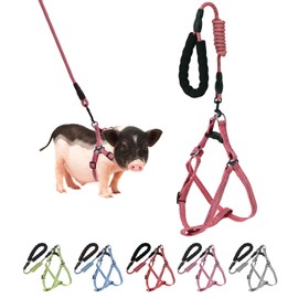 Mini Pig Harness, Adjustable Small Pig Harness with Leash Infinity Style Lead and Soft Foam Handle for Small to Medium Pet Pigs Walking Training Jogging (Red, M)