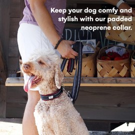 Black Rhino Dog Collar for Large Dogs - Adjustable Reflective Heavy Duty Dog Collars with Ultra-Soft Neoprene Padding - Weatherproof, Durable, and Comfortable for Active Dogs - Burgundy and Black