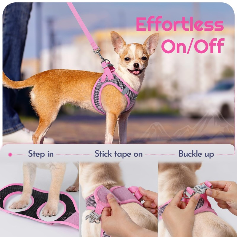 Eagloo Small Dog Harness and Leash Set, Step in Puppy