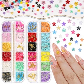 2 Boxes Colorful Flower Nail Charms & Nail Beads, Iridescent Nail Flower Charms Silver/Gold Caviar Beads with Nail Chain for Women DIY Manicure Crafts (6-S2-Mixed3)