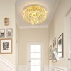 dolria Mini Chandelier Modern Crystal Chandeliers for Hallway LED Flush