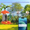 Hummingbird Feeder with Camera for Outdoor - 2K QHD Video,