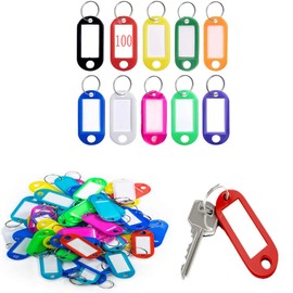 100pcs Key Tags with Tags with Interchangeable Tag Key Chain for Hotel Office Luggage 10 Colors, Polychrome