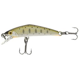 Smith D – Compact 38 07 yamame Huxley