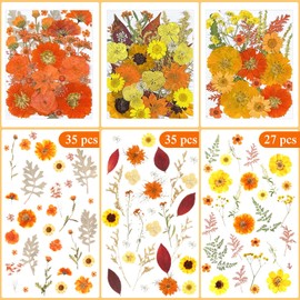 Nuanchu 167 Pcs Real Dried Pressed Flowers Natural Dried Flowers Colorful Dry Daisy Flowers Mixed Dried Flowers for DIY Candle Resin Nails Jewelry Pendant Crafts Floral Art (Yellow)