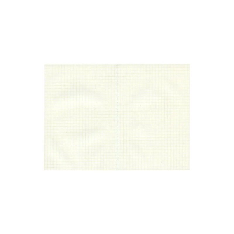 B6 Pistachio Laptop/Pistachio [Grid] N77