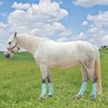 TARFEPA Adjustable Horse Fly Boots Set of 4, Equine Leg