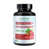Berberine Supplement with Ceylon Cinnamon & Chromium Picolinate, 10-in-1 Berberine