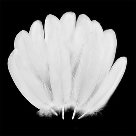 PMYUMAO 300pcs White Feathers for Crafting, 5-7inch Bulk Natural Feathers for Hats, Costume Decorations, DIY Crafts, Wedding Home Party Decorations, Dream Catcher Supplies (White)