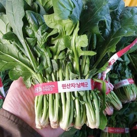 국내산 남해 보물초 해풍 시금치 500g Domestic South Sea Treasure Choy Spinach 500g
