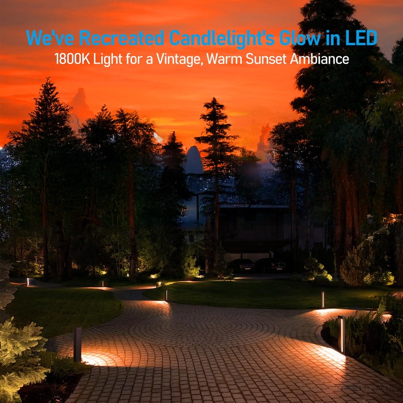 LEONLITE 5CCT Low Voltage Pathway Lights, 7W 12-24V LED Landscape