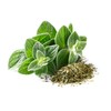 US Organic 100% Pure Oregano Essential Oil - USDA Certified