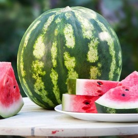 Seeds4planting - Seeds Watermelon Crimson Sweet Giant Heirloom Vegetable Non GMO