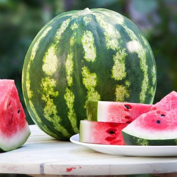 Seeds4planting - Seeds Watermelon Crimson Sweet Giant Heirloom Vegetable Non