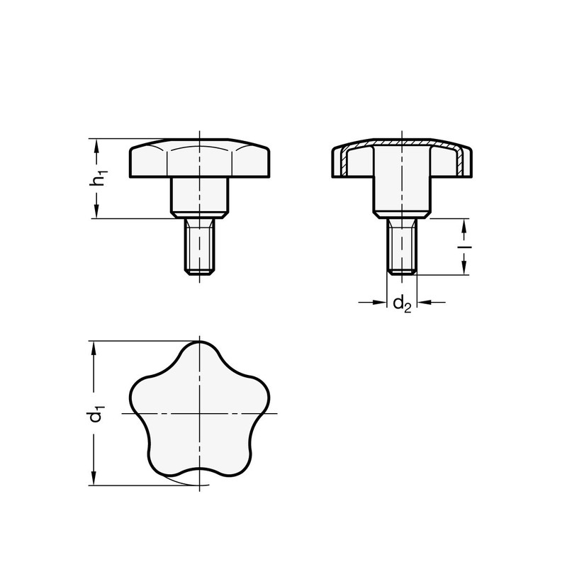 Ganter Normelemente Stainless Steel Star Grip Screw GN 5334-40-M8-20 Matt