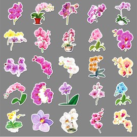 Pack of 50 Butterfly Stickers Pack Flowers Flower Sticker Set Waterproof Vinyl Stickers for Laptop Children Cars Motorcycle Bicycle Skateboard Luggage Suitcase Computer Sticker Graffiti Decal