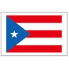 8 Large Puerto Rico Flag Tattoos, Party Favors