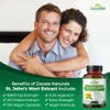 Zazzee Extra Strength St. John’s Wort 20:1 Extract, 8000 mg