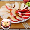 SINGARE Apple Cutter Slicer & Corer Kit - 12-Blade Apple