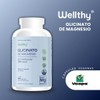 Wellthy Magnesium Glycinate 432mg – High Absorption Vegan Capsules, 400