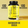 Mr Yellow 1kg Supplements Cla Carnitina 100servs Sabores
